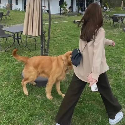 哥谭第四季
